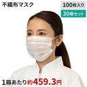【送料無料】2層マスク 耳掛けタイプ 2SM-01 100枚×30箱セット