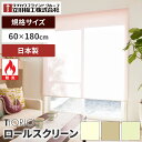 ティオリオ ロールスクリーン 規格品 無地防炎 60×180 ココ シナモン ペールグリーン