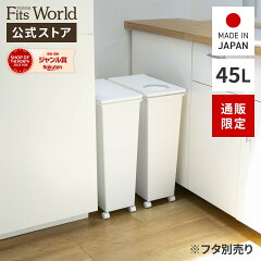 https://thumbnail.image.rakuten.co.jp/@0_mall/tenmafitsworld/cabinet/whiterash_smartpail/4904746148285_r5.jpg