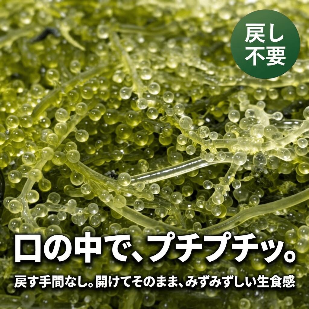 天満市場 楽天市場店の【セール限定大特価！】沖縄産　【沖縄直送×大阪仕分け】ぷちぷち極上 海ぶどう 50g/120g 常温保存　無添加 無着色 プチプチ 海藻 食べ切りパック お試し 1000円ポッキリ おつまみ 送料無料 宜野湾 クビレヅタ｜アングル3