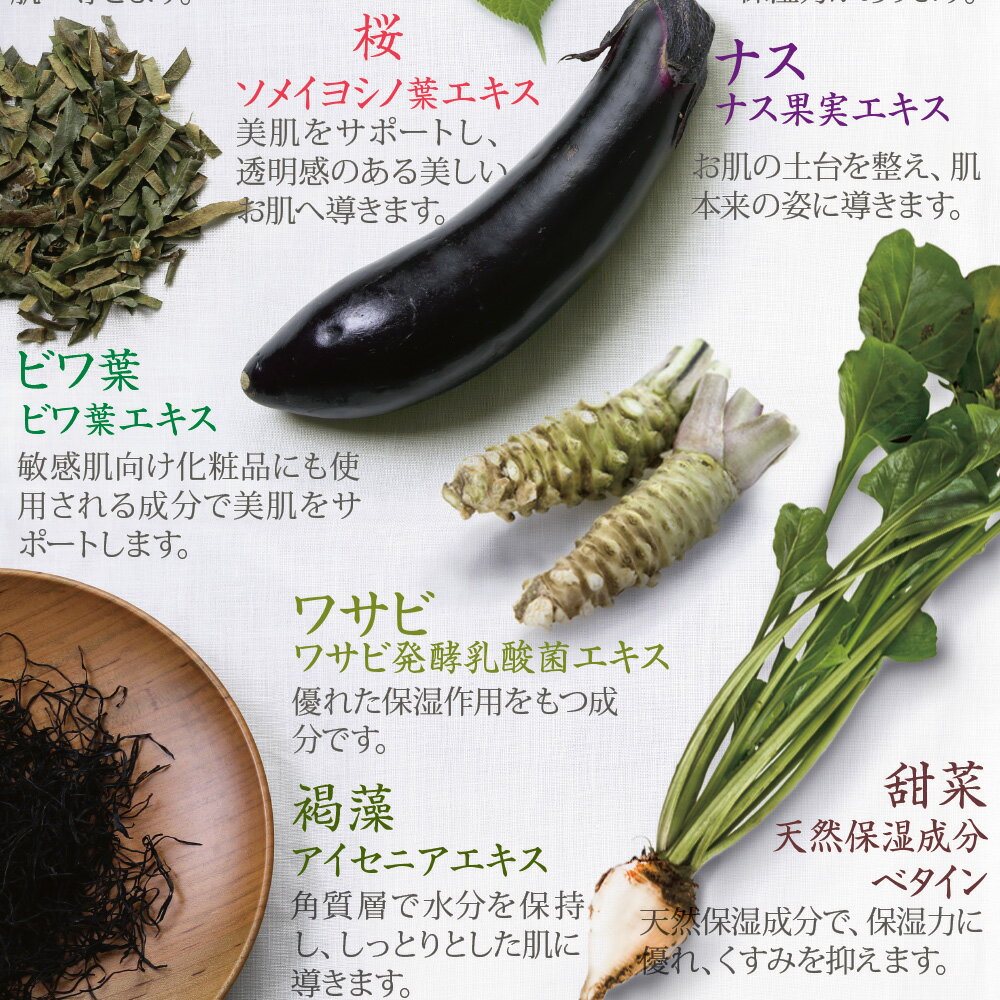 無添加無香料ボディローションポンプ式150mLBELVISOベルビーゾ日本食送料無料ベビーママ乾燥肌敏感肌保湿