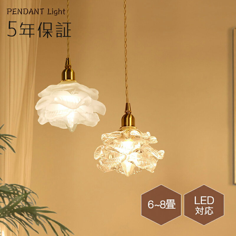 5ǯݾڡۥڥȥ饤 ̲ 饹 ˥  1 LEDб  °  ץ ǥ  ŷ...