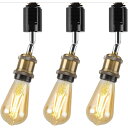 ライティングレール 照明 スポットライト ダクトレール用 ダウンライト E26口金 LED電球付き レフ電球 照明器具 天井照明 間接照明 レールライト ダイニ...