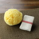 ふわふわの天然海綿スポンジとオーガニックコットン100%・化粧落とし <和紡布>(2枚組) のお買得セット ★【楽ギフ_包装選択】