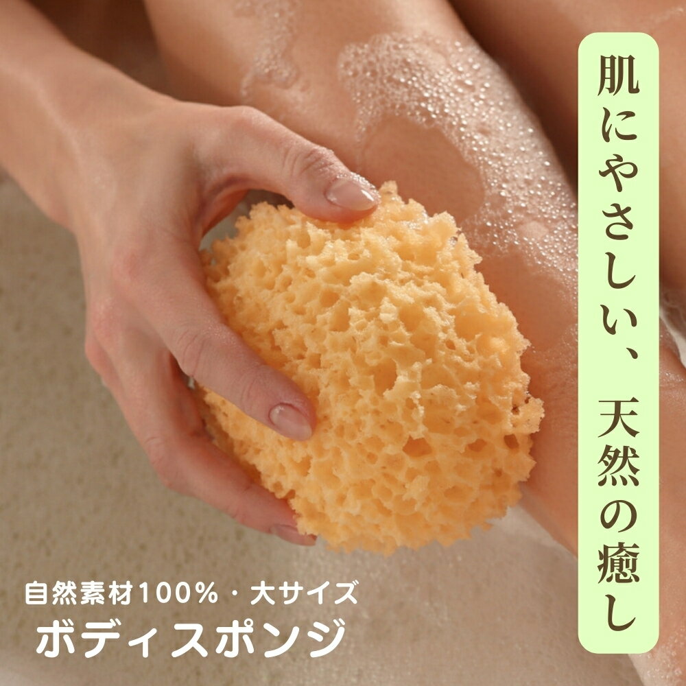 海綿スポンジ 大きい 海綿 大 スポンジ ボディスポンジ 柔らかい 泡立ち 地中海産 送料無料 翌日 ...