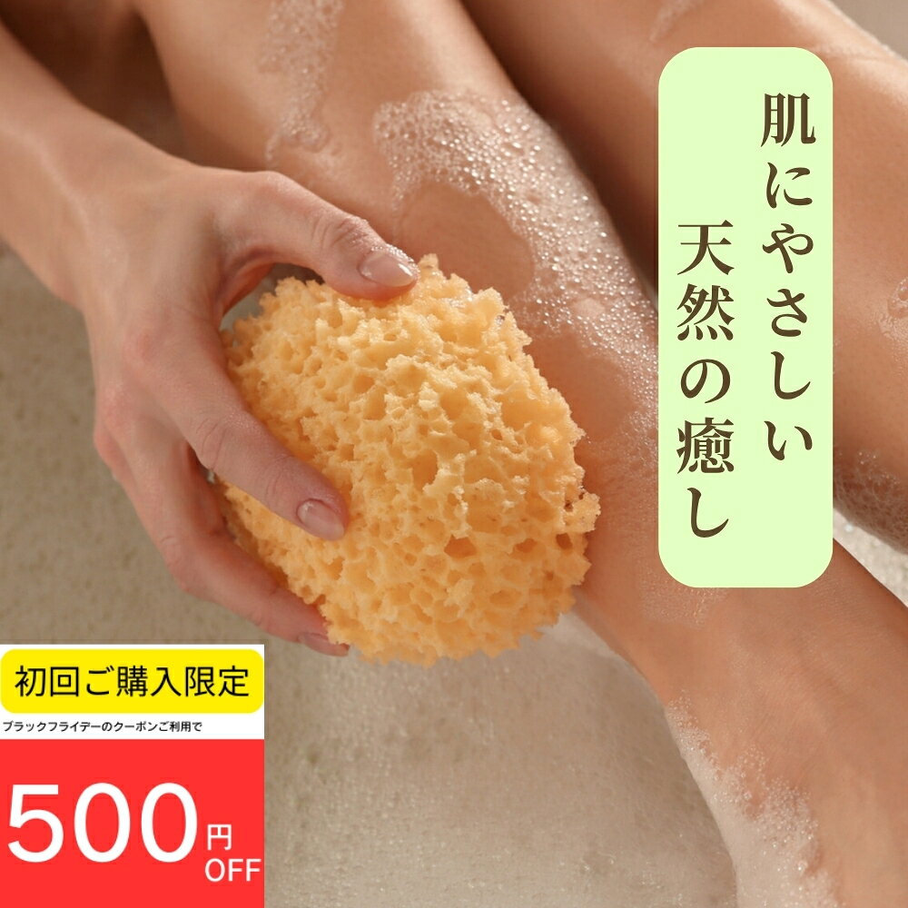 【初回500円引クーポン】海綿スポンジ ボディスポンジ 大きい 柔らかい 泡立ち 海綿 天然海綿 天然海綿スポンジ ボディ 天然 スポンジ ボディースポンジ かいめん 送料無料 地中海 イタリア ハニコム種 乾燥肌 アトピー 敏感肌 肌 シミ 黒ずみ くすみ 痒み かゆみ 緩和 軽減