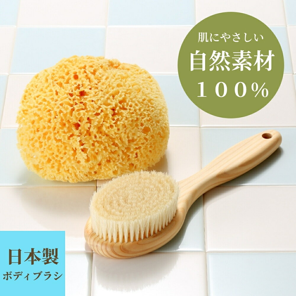豚毛 ボディブラシ 24cm x 海綿スポンジ のセット」 日本製 ショート 背中 海綿 大 大きい 天然海綿 高級 ボディーブラシ 自然素材100%