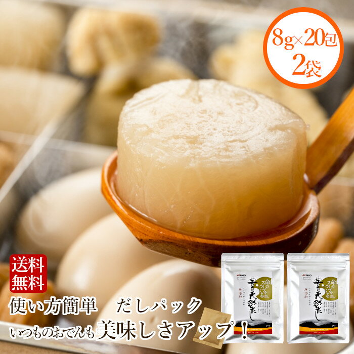 【送料無料】だしパック 無添加 40包（8g×20包 2袋）煮干しだし いわしだし 出汁パック 豊の天然だし 竹 うどん おでん 煮物にも