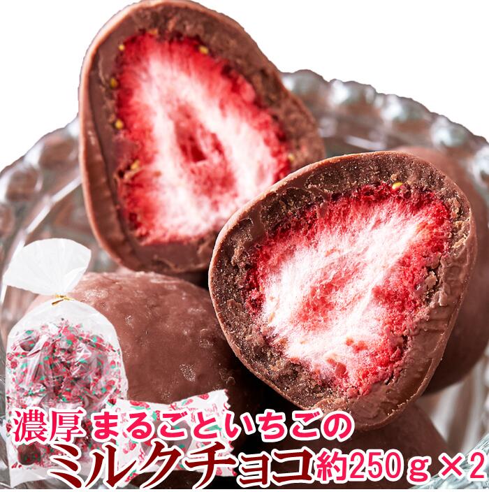 【送料無料】 濃厚まるごといちごのミルクチョコ 250g×2 個包装 | チョコレート チョコ お菓子 イチゴ ホワイトデー バレンタインデー お返し 苺 女性 お菓子 乾燥 ギフト フリーズドライ フルーツ 果物 スイーツ イベント 洋菓子 おやつ 間食 デザート お徳用 大容量