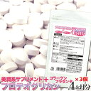 【送料無料ポスト投函N】プロテオグリカン 120粒×3 約1年分 | サプリメント サプリ 健康補助食品 大容量 美容 健康 国産 プロテオグリカン 美容サプリ...