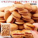 【送料無料】苺ジャムサンドクッキー 500g×2 イチゴ いちご フルーツ 果物 ジャム クッキー ビスケット 一口サイズ 洋菓子 お菓子 焼き菓子 おやつ お徳用 得用 大容量 大量 訳あり ワケアリ ロングセラー 人気 バレンタイン ホワイトデー 母の日 お礼 ばらまき お茶請け