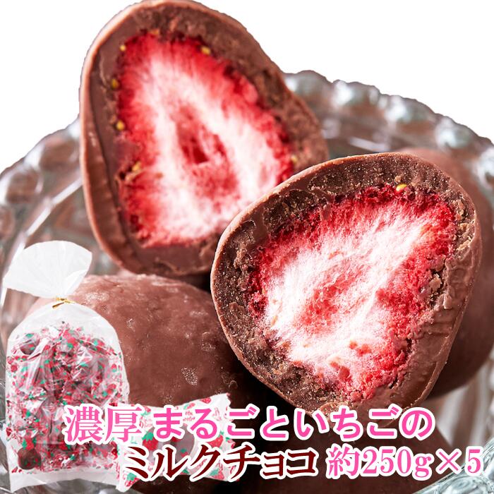 【送料無料】 濃厚まるごといちごのミルクチョコ 250g×5 個包装 | チョコレート チョコ お菓子 イチゴ ホワイトデー バレンタインデー お返し 苺 女性 お菓子 乾燥 ギフト フリーズドライ フルーツ 果物 スイーツ イベント 洋菓子 おやつ 間食 デザート お徳用 大容量