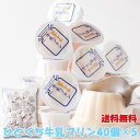 【送料無料】ひとくち牛乳プリン 40個×5 個包装 | 濃厚 プリン 牛乳 牛乳プリン プチ 一口サイズ おやつ お菓子 お徳用 得用 大容量 スイーツ デザー...
