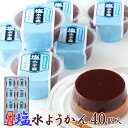 【送料無料】塩水ようかん 8個×5 | 和菓子 お菓子 スイーツ おやつ 老舗 夏 冷たい ようかん ギフト 暑さ対策 塩味 塩寒天 食べきり 小分け 敬老 羊...