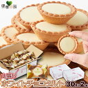 【送料無料】ホワイトチョコタルト 30個×2 個包装 | タルト ホワイトチョコ チョコレート チョコ 焼き菓子 洋菓子 お菓子 おやつ 大量 スイーツ 大容量 業務用 得用 文化祭 タルト菓子 お配り用 贈答用 手土産 ギフト プレゼント バレンタイン ホワイトデー 自宅用 ガトー