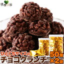 【送料無料】チョコクランチ 50個×2 個包装 小分け | ひとくち 業務用 大容量 お徳用 チョコレート お菓子 洋菓子 チョコ 文化祭 イベント 配布用 お...