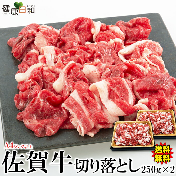 【送料無料】佐賀牛 A4ランク以上 切り落とし 500g 小分け 佐賀県 | バラ もも 肩 牛肉 ブランド牛 佐賀牛 霜降り 黒毛和牛 和牛 A4 赤身 お肉 食品 牛 肉じゃが 炒め物 グルメ お取り寄せ 贈答 父の日 母の日 お徳用 得用 大容量 冷凍 お祝い 業務用 BBQ アウトドア