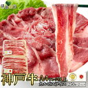 【送料無料】神戸牛 A5ランク以上 カルビスライス 500g 小分け 250g×2 冷凍 | ブランド牛 カルビ 神戸 神戸ビーフ ビーフ 国産 牛肉 食品 肉 お取り寄せグルメ 生肉 三大和牛 牛丼 炒め物 肉じゃが ギフト 贈答品 お祝い 高級 ビーフ ブランド牛 霜降り サシ 赤身 使い切り
