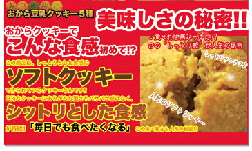 おから豆乳クッキー ソフト 国産 2kg 業務用 常温商品