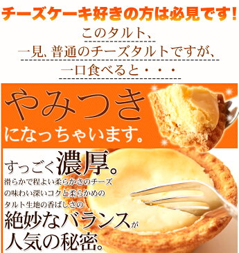 濃厚 チーズタルト 国産 (1kg)／ 個包装 チーズケーキ 常温保存 訳あり お菓子 焼き菓子 人気 ホワイトデー 小分け 業務用 文化祭 学園祭 お菓子 タルト チーズ