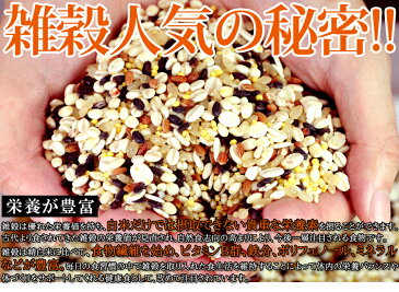 十六雑穀 雑炊 セット 詰め合わせ 3種75食セット 国産 もち麦 レトルト 業務用