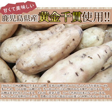 芋けんぴ 二種(蜂蜜/黒糖) 2kg(200g×10セット) /食べ比べ さつまいも はちみつ 黒糖 おやつ お菓子 送料無料