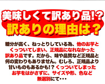 訳あり 紅はるか 角切り干し芋 2.5kg(500g×5)/ 干し芋 ほしいも わけあり サツマイモ さつま芋 国産 日本 静岡 角切り 簡易包装 お得 無添加 無着色 遠州 食物繊維 子供 おやつ 糖度 べにはるか 砂糖不使用 菓子 お菓子 お徳用 大量 送料無料 大容量