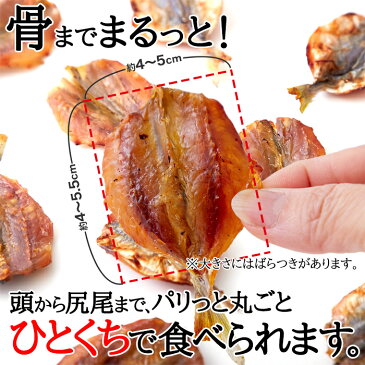 【送料無料】】こんがり焼あじ540g(180g×3)/鯵 魚 カルシウム タンパク質 焼きあじ おつまみ おやつ 間食 干物 珍味 シマアジ ホソヒラアジ 行楽 パーティー 送料無料