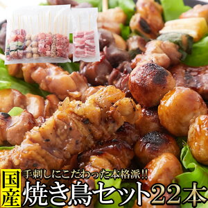 国産焼き鳥 詰め合わせ(22本入り)/セット 手刺し おつまみ 冷凍商品 BBQ 詰め合わせ 鶏もも ねぎま 鶏皮 砂肝 つくね 豚バラ 焼肉 バーベキュー 文化祭 イベント 家飲み 宅飲み [冷凍](NK00000047)