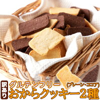 訳あり グルテンフリーおからクッキー(500g)プレーン ココア / おからクッキー 豆乳 クッキー 焼き菓子 お菓子 米粉 おやつ スイーツ おから 生おから 添加物不使用 卵不使用 簡易包装 大量 大容量 ヘルシー 国産 グルテンフリー