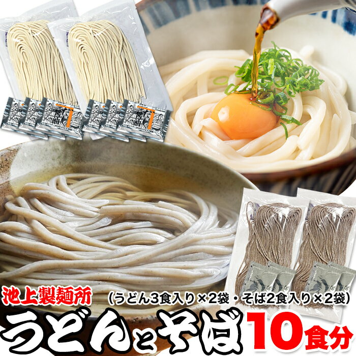 【送料無料B】池上製麺所 うどんとそば 10食 (うどん3食×2・そば2食×2) | うどん そば 讃岐うどん 蕎麦 セット 麺類 インスタント つゆ付き 食品 詰め合わせ セット 簡単 便利 ご自宅用 お取り寄せ ギフト ご当地 プレゼント お礼 年越し ポイント消化 買いまわり