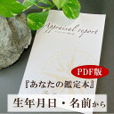 PDF版 数秘術 鑑定書 守護石 占い 運勢 鑑定 姓名判断 風水 開運 厄除け お守り 誕生日 幸運 オーダー パワーストーン 天然石 ヒーリング プレゼント 新年