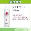 ジザニアシャンプーR 300ml《あす楽》リバーブ