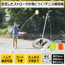 ストローク練習機 テニスヒット TennisHit | テニス 練習器具 硬式 テニス練習機 ジュニア 練習 一人 テニス用品 グッズ テニスグッズ トレーニング プレゼント ボール キッズ 小物 上達 テニス練習 硬式テニス ストローク 練習用 子供 素振り 器具 テニス練習器具 2