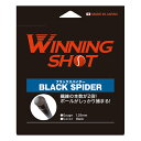 ウィニングショット(WinningShot)ブラックスパイダー(1.25/1.30mm)[ブラック]BLACK SPIDER[M便 1/2]bksp|テニス ラケ…