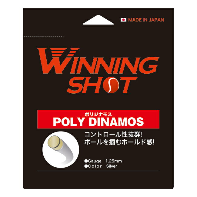ウィニングショット(WinningShot)ポリジナモス 単張り[1.25mm/1.30mm/カラー：シルバー][M便 1/2](テニス 硬式 テニ…