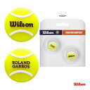 ウイルソン Wilson RG TENNIS BALL DAMPENER WR8403801001