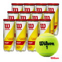 ウイルソン Wilson テニスボール CHAMPIONSHIP EXTRA DUTY（チャンピオンシップ エクストラデューティー） 3球入 1箱（12缶/36球） WRT100101W 1