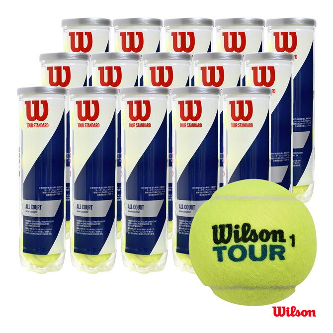 ウイルソン Wilson テニスボール TOUR STANDARD（ツアー スタンダード）4球入 1箱（15缶/60球） WRT103800