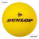 ボール ダンロップ DUNLOP テニスボール ショートテニス用 スポンジHG II 1個 SPNGHG2