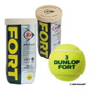 _bv DUNLOP ejX{[ DUNLOP FORTi_bv tH[gj 2 1 DFFYL2TIN