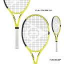 ダンロップ DUNLOP テニスラケット ダンロップ SX 300 ライト DUNLOP SX 300 LITE DS22203