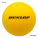 ダンロップ DUNLOP テニスボール ショートテニス用 スポンジYL 1個 NSPNGE2YL