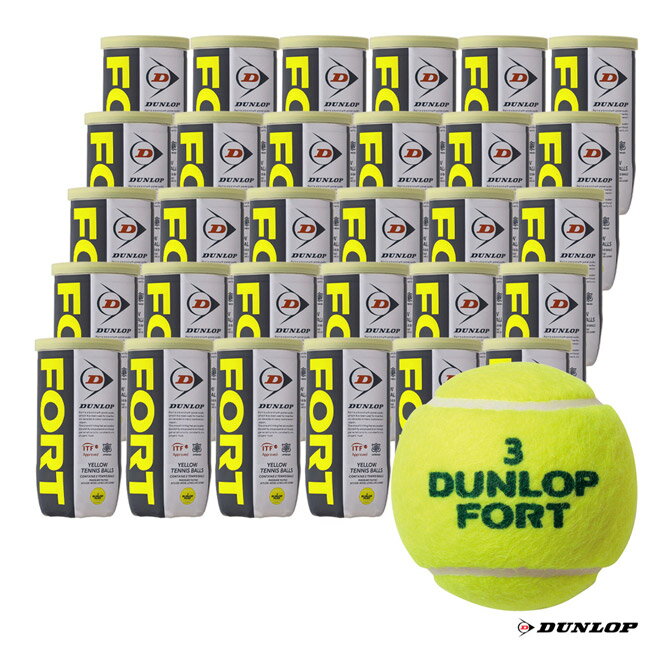 ダンロップ DUNLOP テニスボール DUNLOP FORT（ダンロップ・フォート） 2球入 1箱（30缶/60球） DFEYL2CS60