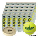 ダンロップ DUNLOP テニスボール DUNLOP FORT(ダンロップ フォート) 4球入 1箱(30缶/120球) DFCPFYLPT4CS120(4)