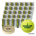 _bv DUNLOP ejX{[ DUNLOP FORTi_bv tH[gj 2 1i30/60j DFFYL2CS60