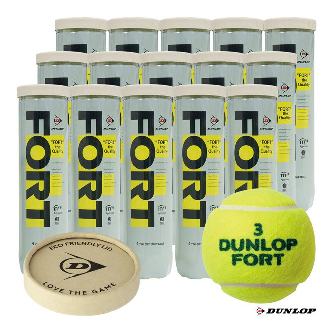 ダンロップ DUNLOP テニスボール DUNLOP FORT（ダンロップ フォート） 4球入 1箱（15缶/60球） FORT5DOZCS60