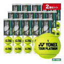 lbNX YONEX ejX{[ TOUR PLATINUMicA[v`ij 4 2i30/120j TB-TPL4