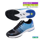 ヨネックス YONEX テニスシューズ ユニセックス パワークッション エアラスダッシュ 4 ワイド GC SHTAD4WG（381）