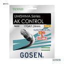 S[Z GOSEN ejXKbg P E~V} AKRg[ 17iUMISHIMA AK CONTROL 17j 124 zCg TS721